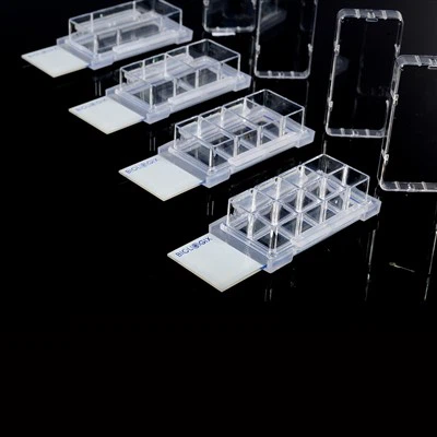 Polisztirol kamarai azonosító számozás sejt kultúra dia