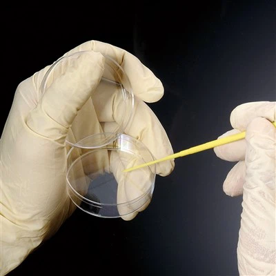 Steril individuális inokulációs hurkok és tűk